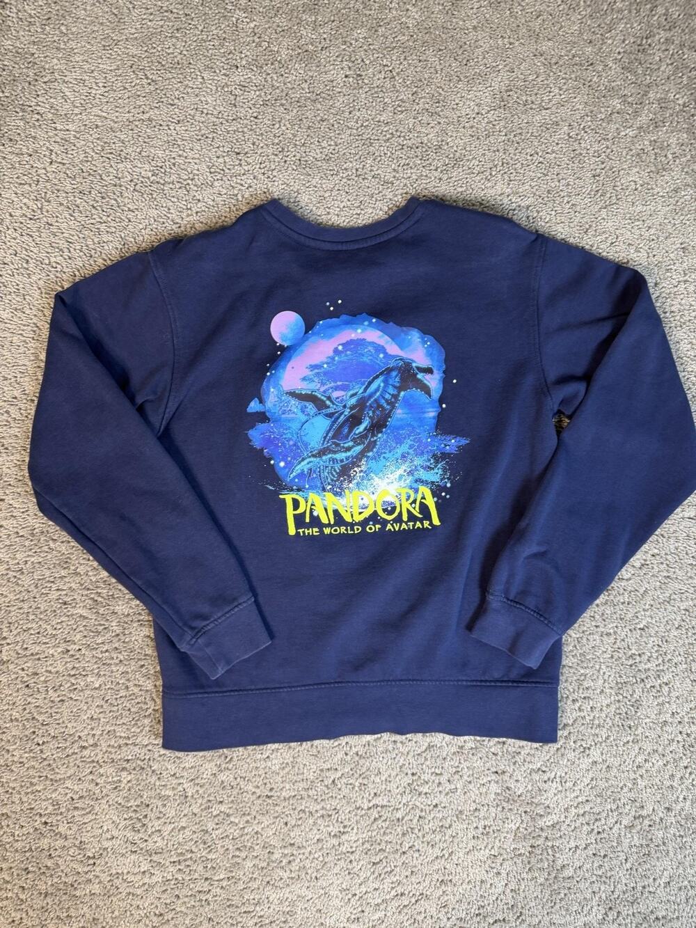 Avatar Sweatshirt Womens XS Pandora The World Of Avatar Blue Crewneck Graphic